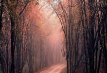 虎扑体育：体坛名场面｜成龙停球10米远，曾志伟硬钢拉莫斯，这支香港巨星队比国足有血性.