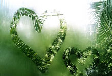 世界杯南美洲区外围赛：玻利维亚和乌拉圭以0比0收场.